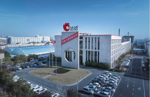 洽洽產品質量 國潮文化與國際認可的典范