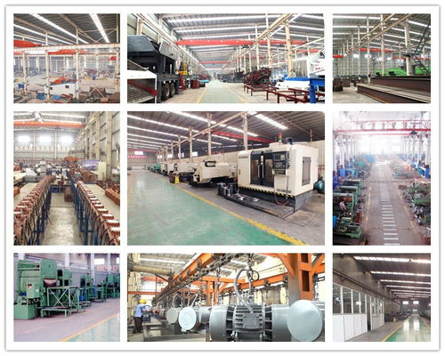 河南威猛振動 食品行業高效篩分解決方案